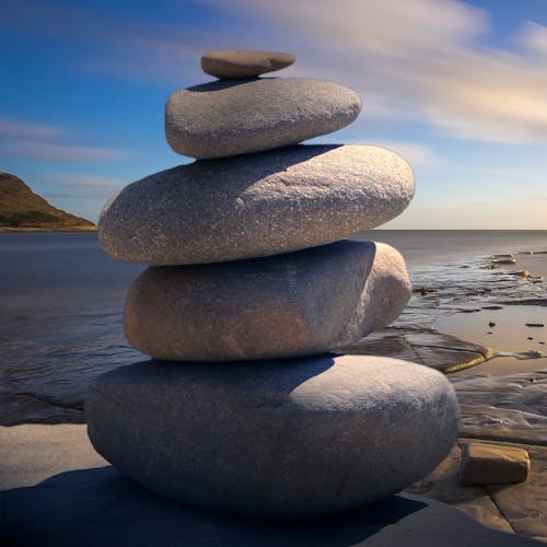 wellness coaching